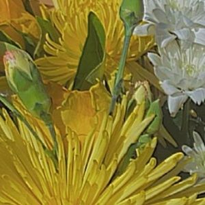 Meet your Posher, Maddison